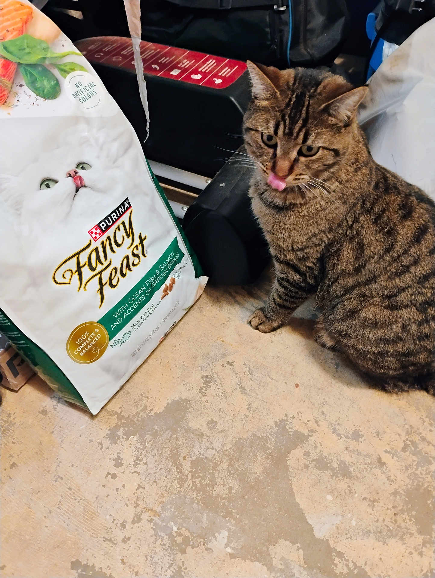 Taco