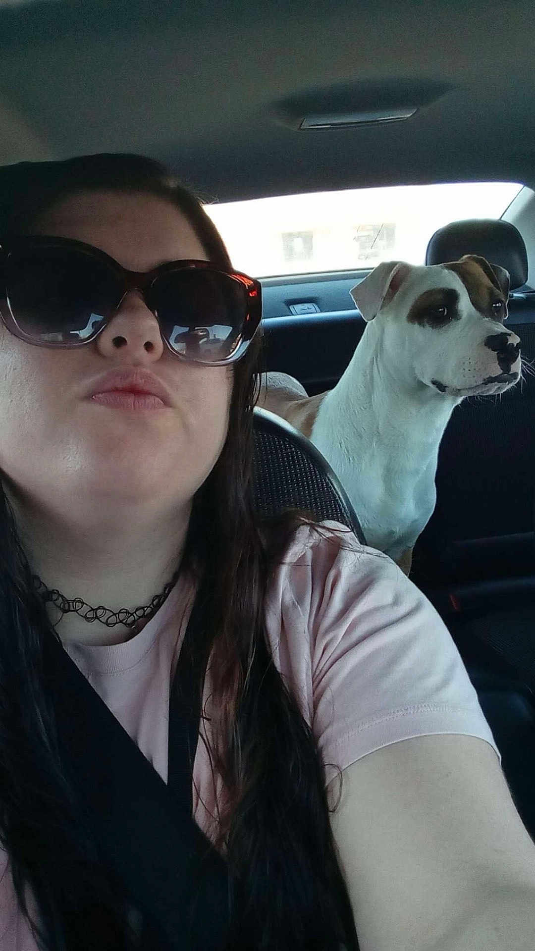 Champion is registered to the contest to win money with this photo: person, dog, selfie, car_interior, backseat, sunglasses, seatbelt, portrait, pet, white_dog, brown_patch, long_hair, choker_necklace, headrest, window, reflection, animal, passenger, seat, photography