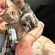 Ezekiel is registered to the contest to win money with this photo: animal, arm, bracelet, casual, cat, closeup, cozy, dim_light, feline, hand, holding, indoor, person, pet, plaid_shirt, portrait, relaxed, ring, sleepy, tattoo