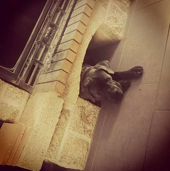 Ruby a rejoint le concours — aidez-le/la à gagner de superbes lots ! art, building, carving, column, darkness, facade, happy, material_property, metal, monument, night, sculpture, shadow, sky, statue, stock_photography, symmetry, tints_and_shades, visual_arts, wood