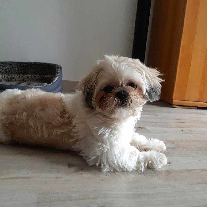 Lucy