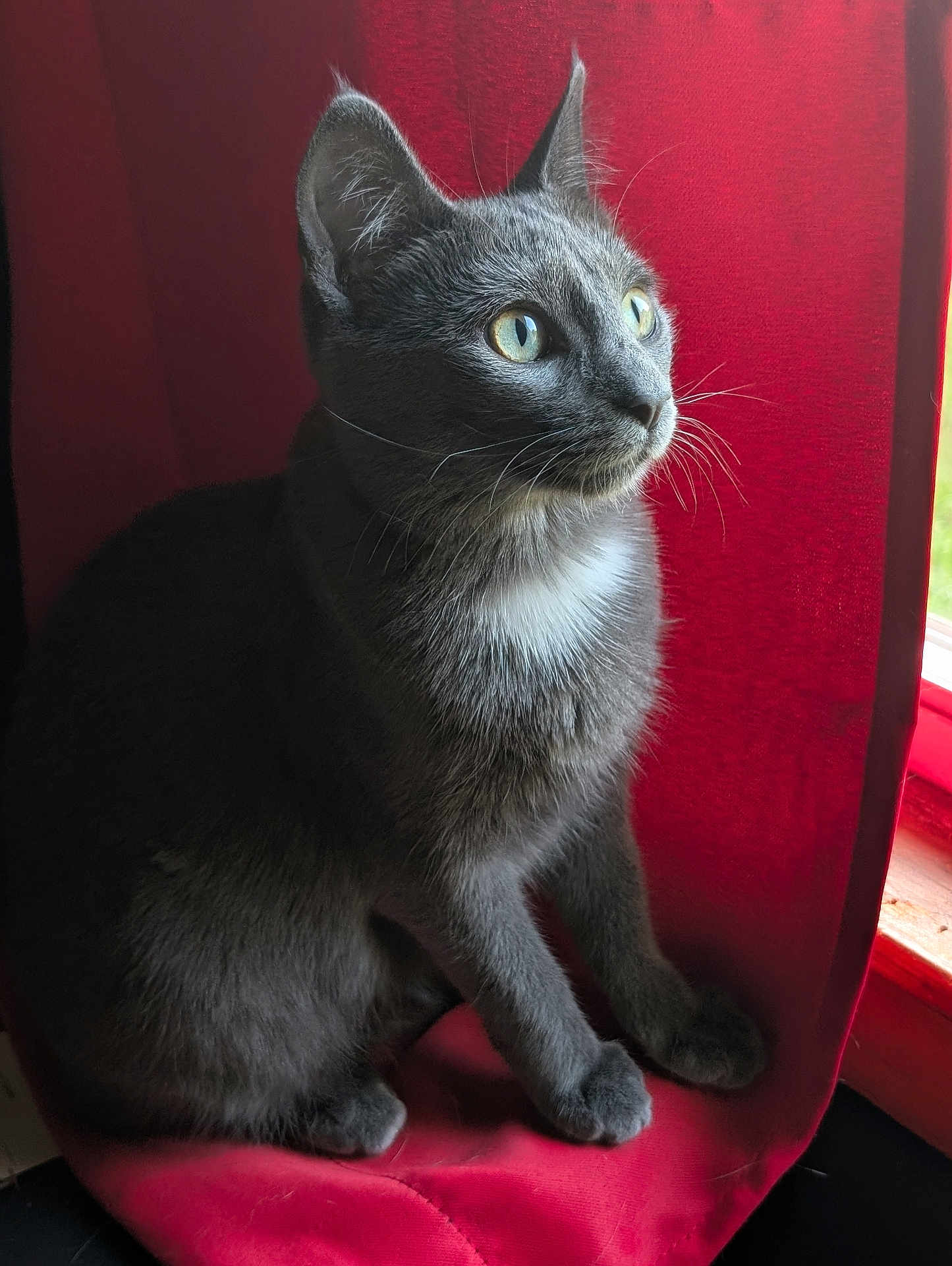Stormy