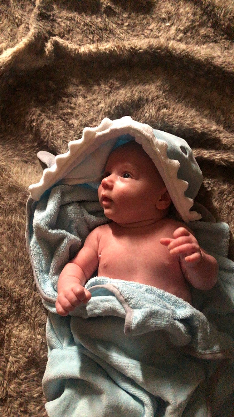 Brady joined the competition — help win amazing prizes! art, baby, chin, eye, flash_photography, grass, hand, happy, head, headgear, headwear, human_body, landscape, leaf, natural_environment, person, skin, sun_hat, temple, toddler