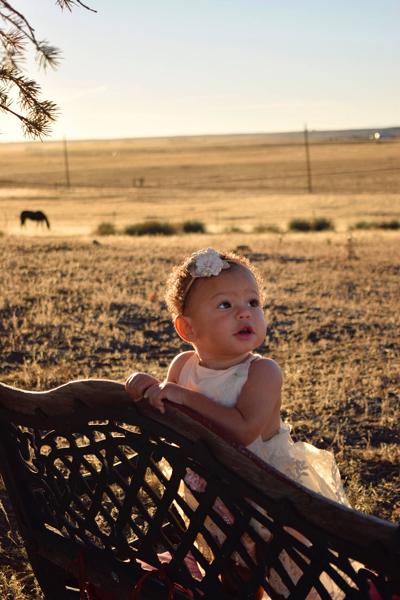 Nova joined the competition — help win amazing prizes! baby, ecoregion, flash_photography, grass, grass_family, grassland, happy, hat, horizon, landscape, leisure, morning, people_in_nature, person, plant, prairie, sky, sunlight, toddler, tree