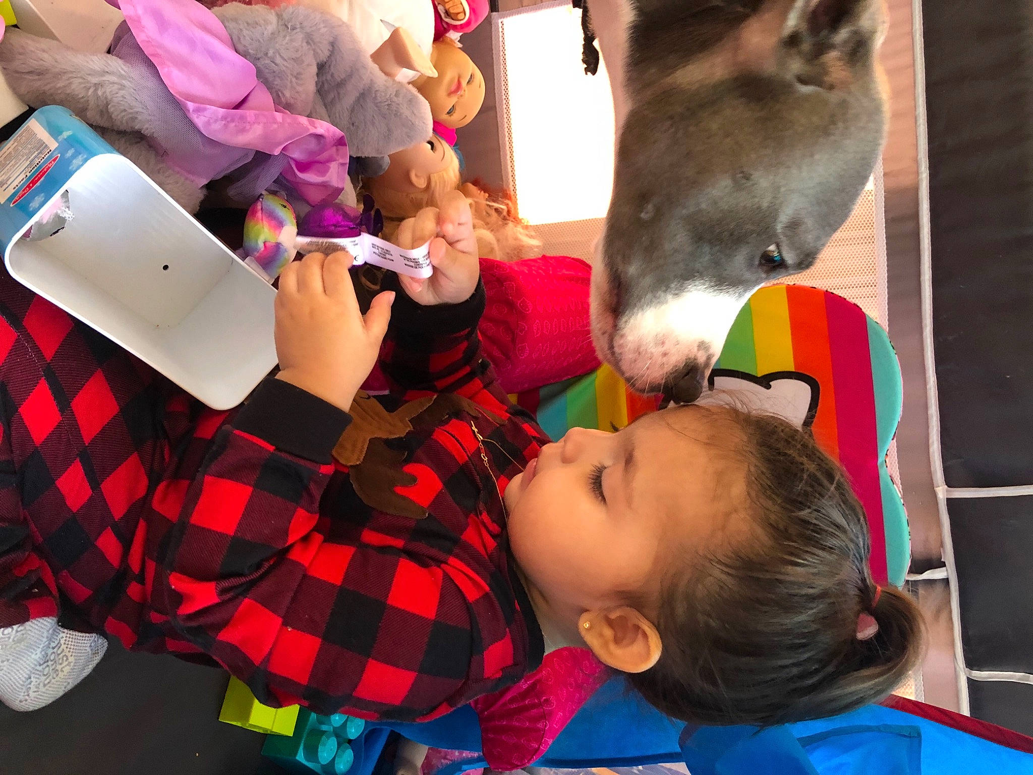 Madeline Rose is registered to the contest to win money with this photo: art, baby, child, event, fawn, fun, green, happy, laptop, leisure, mammal, pattern, person, photograph, plaid, recreation, snapshot, t_shirt, tartan, toddler