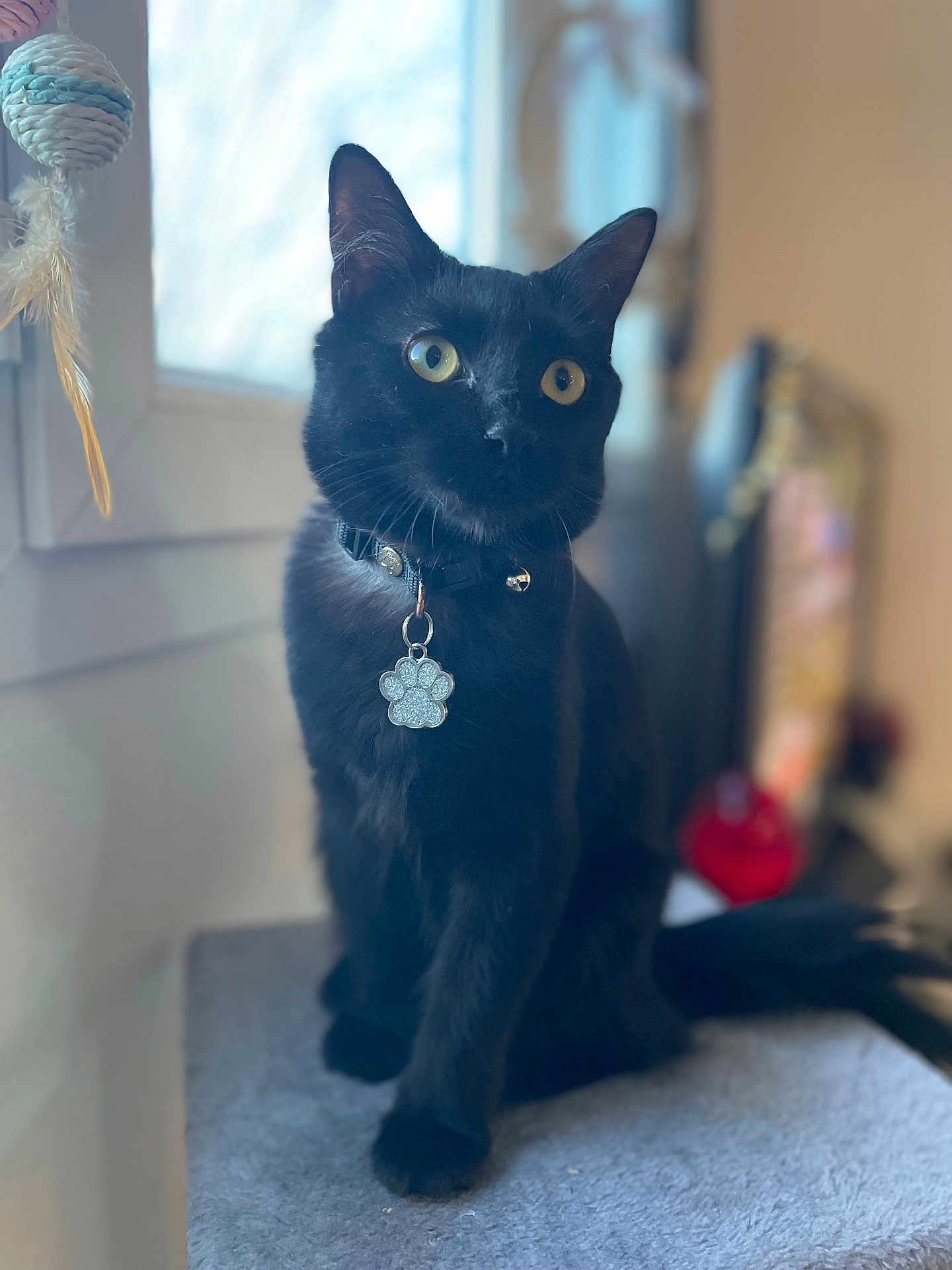 Kiara