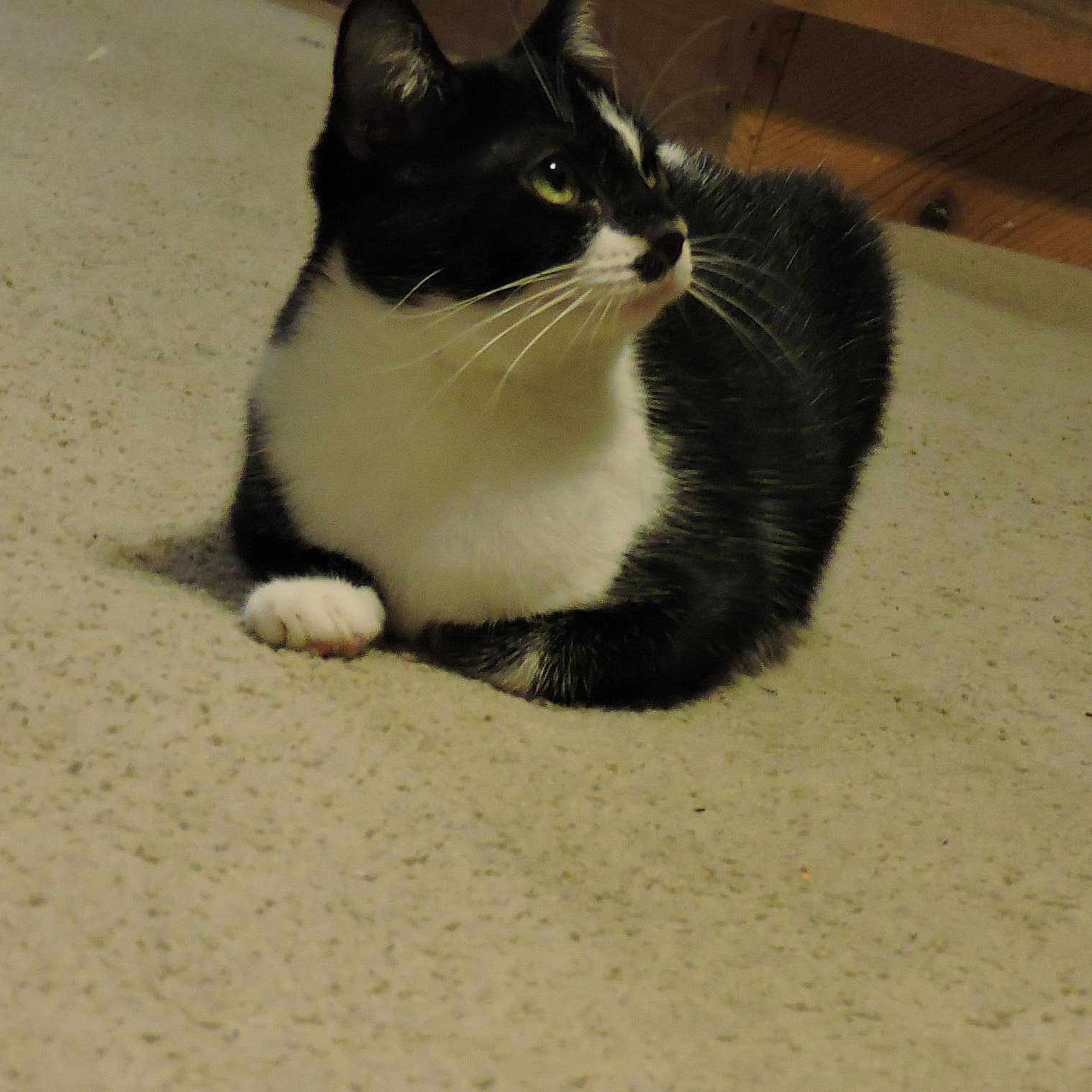 Ashby is registered to the contest to win money with this photo:
