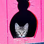 animal, cat, curious, cute, cutout, door, ears, face, feline, framed, indoor, kitten, paint, peek, pet, pink, shadow, silhouette, whiskers, wood