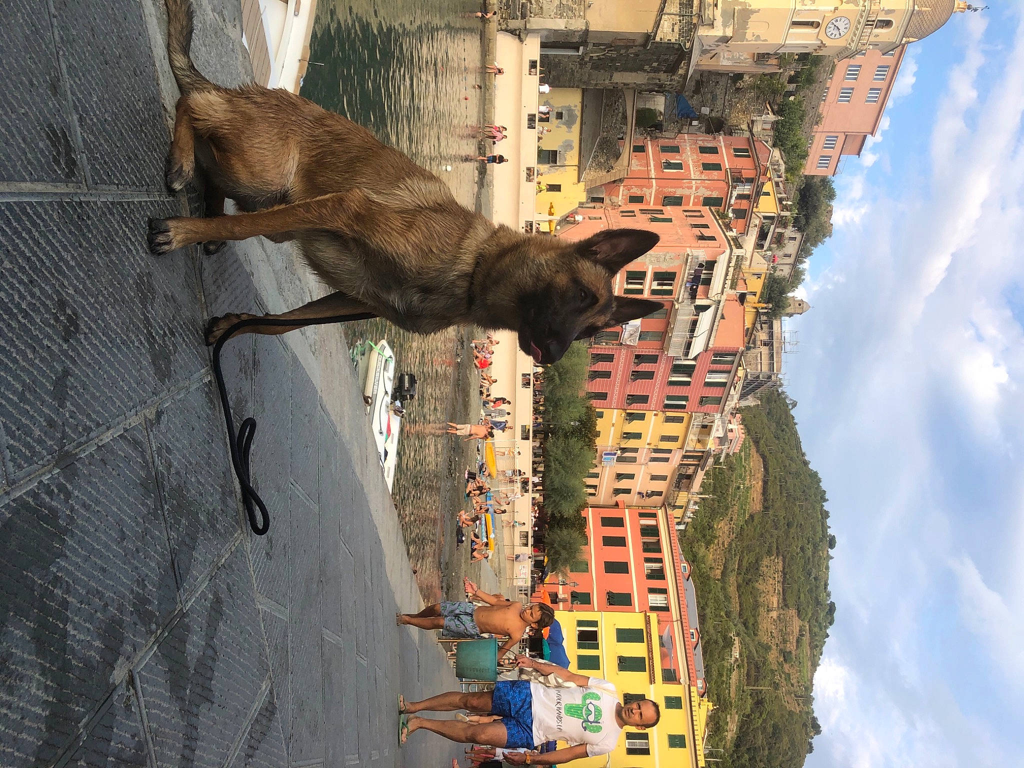 Solly a rejoint le concours — aidez-le/la à gagner de superbes lots ! art, building, carnivore, cloud, facade, fawn, felidae, house, leisure, line, plant, sky, tail, travel, tree, wall, water, window, wood, world