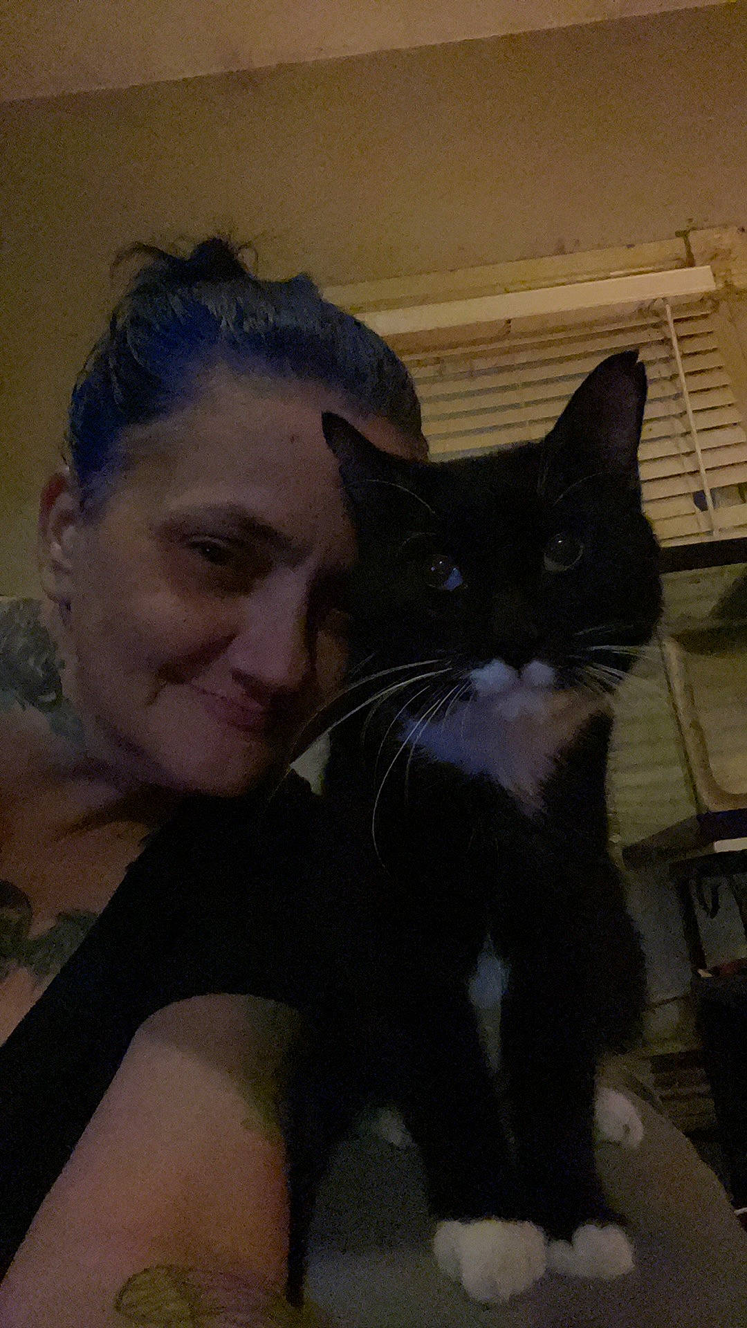 Screaming Demon joined the competition — help win amazing prizes! beard, carnivore, cat, chest, comfort, domestic_short_haired_cat, ear, eye, felidae, formal_wear, fur, gesture, happy, iris, jaw, laugh, sitting, small_to_medium_sized_cats, smile, whiskers