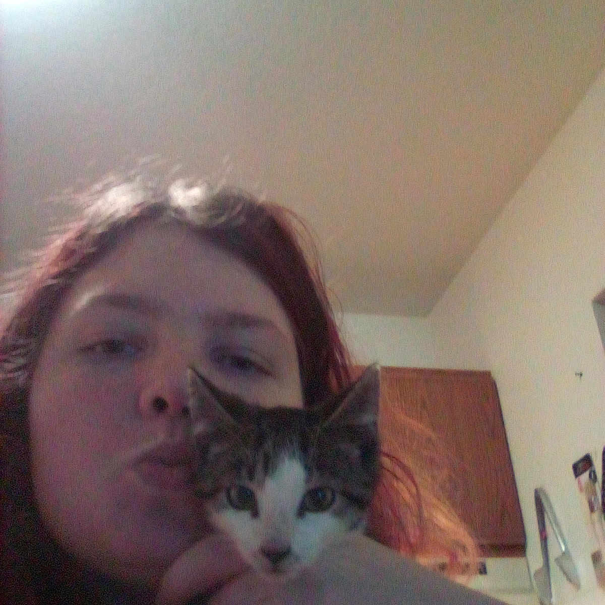 Bandit is registered to the contest to win money with this photo: person, cat, kitten, indoor, selfie, face, hand, cabinet, wall, light, hair, eye, nose, mouth, sitting, holding, domestic_animal, feline, pet, closeup