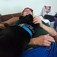 Bull joined the competition — help win amazing prizes! affection, bandana, black_dog, blue_collar, brown_couch, casual, close_up, clothing, collar, couch, cuddling, dog, furniture, hand, home, indoor, person, pet, relaxing, resting