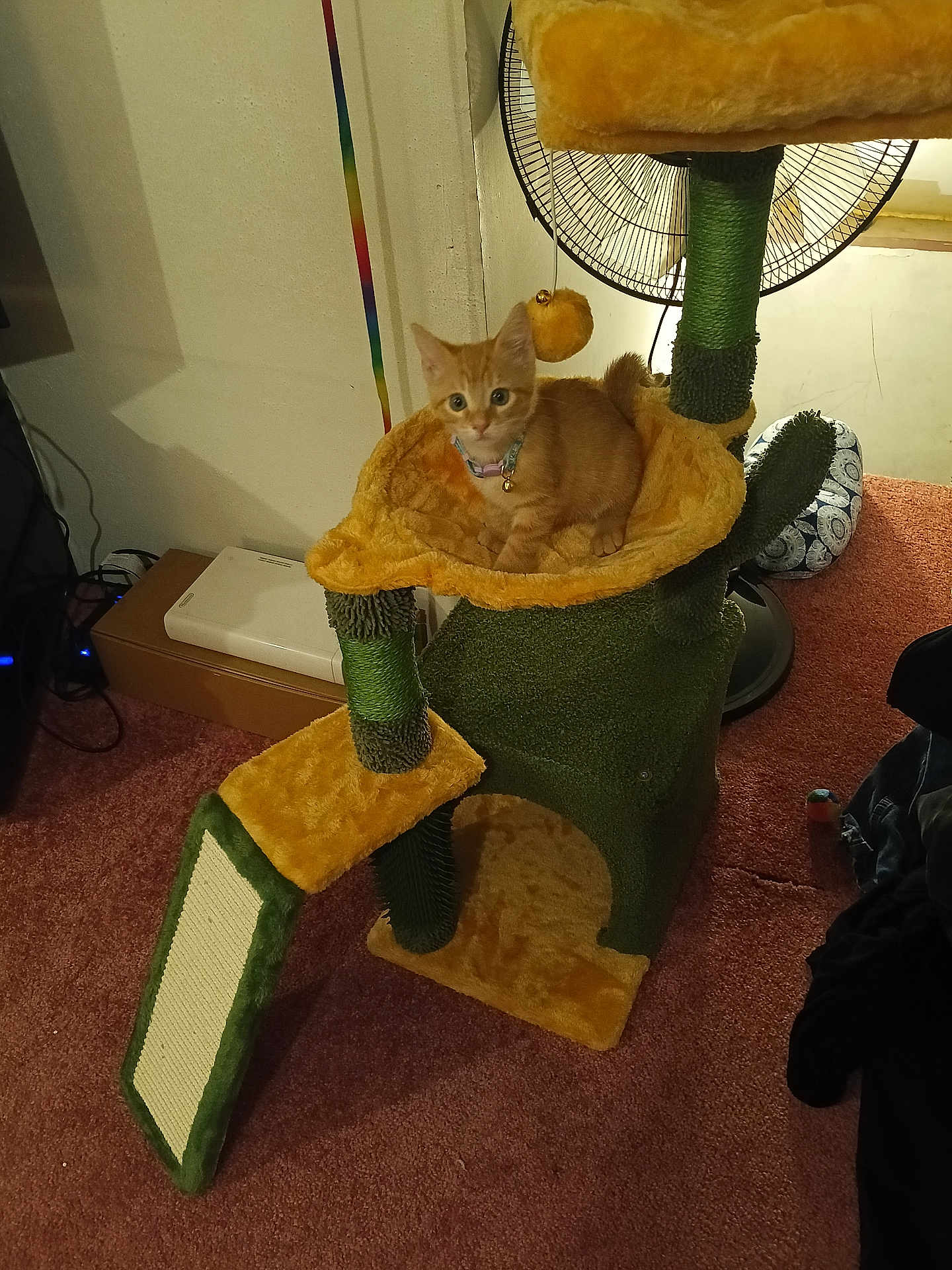Cheese It