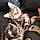 Shere Khan