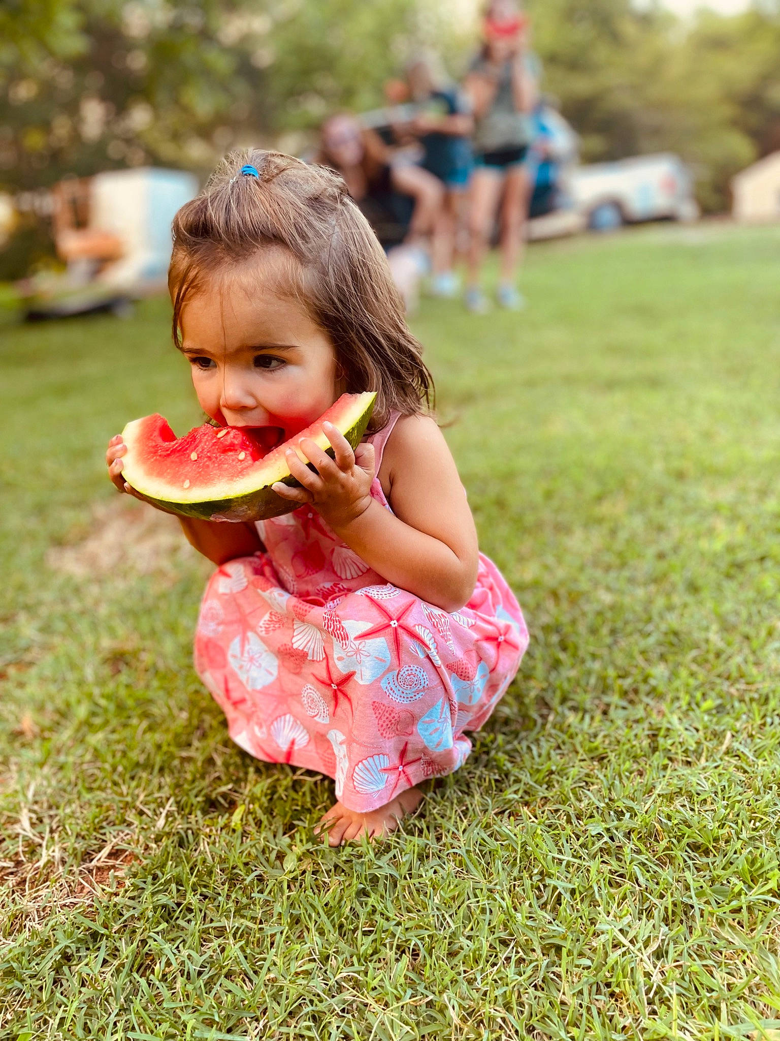 Jolene joined the competition — help win amazing prizes! child, dessert, event, food, fruit, fun, grass, grass_family, grassland, happy, lawn, leisure, meadow, people_in_nature, person, plant, recreation, sitting, summer, toddler