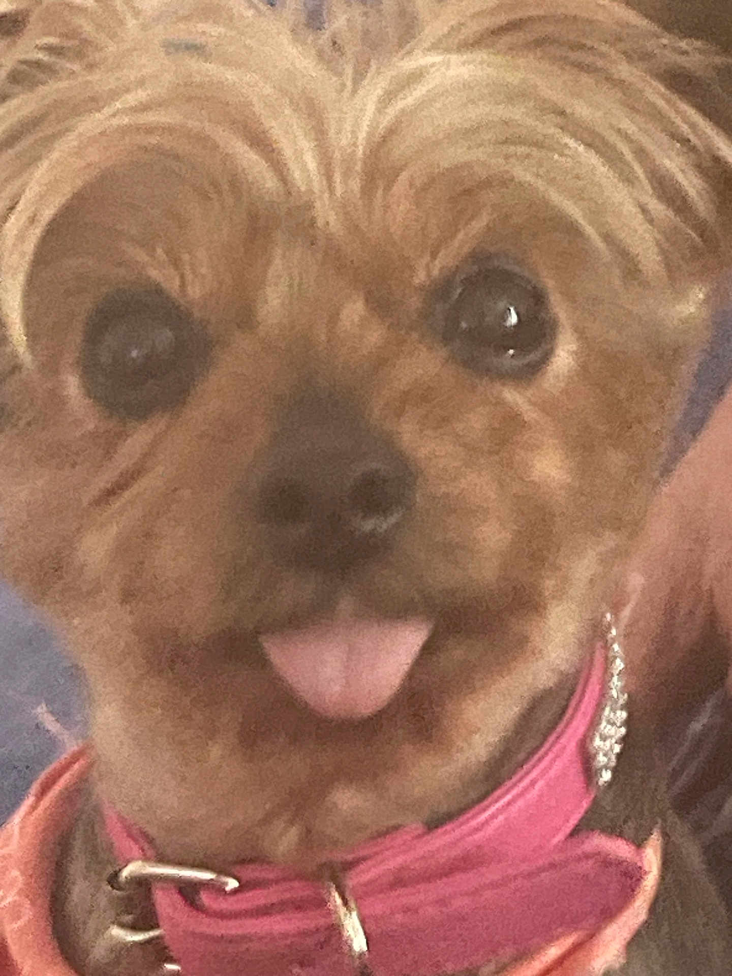 Myla