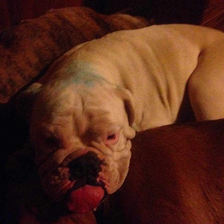 Bubba Tubbs