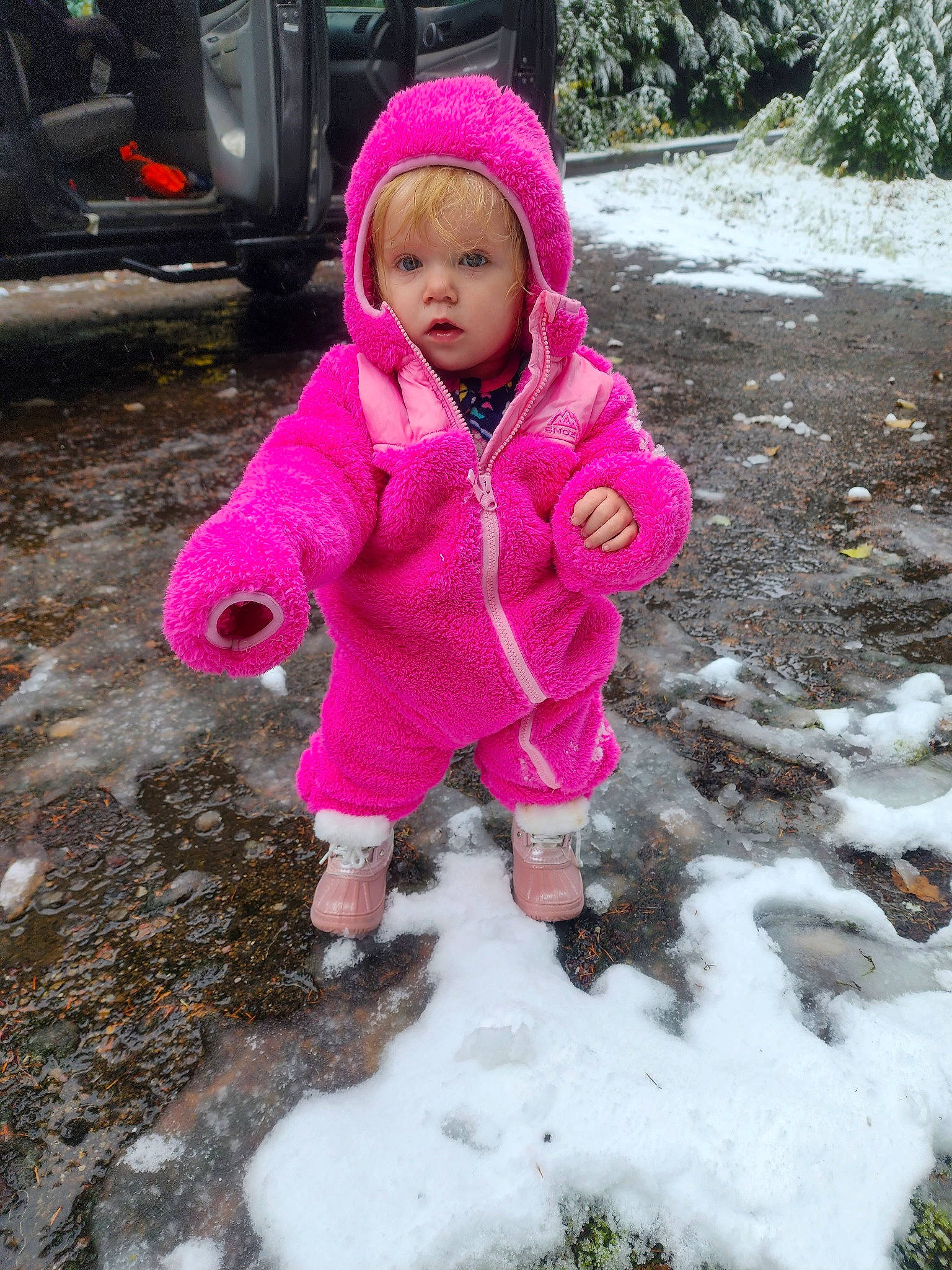 Fern joined the competition — help win amazing prizes! automotive_tire, baby_toddler_clothing, beanie, cap, child, freezing, fun, grass, jacket, knit_cap, magenta, person, pink, plant, precipitation, snow, soil, tire, toddler, tree