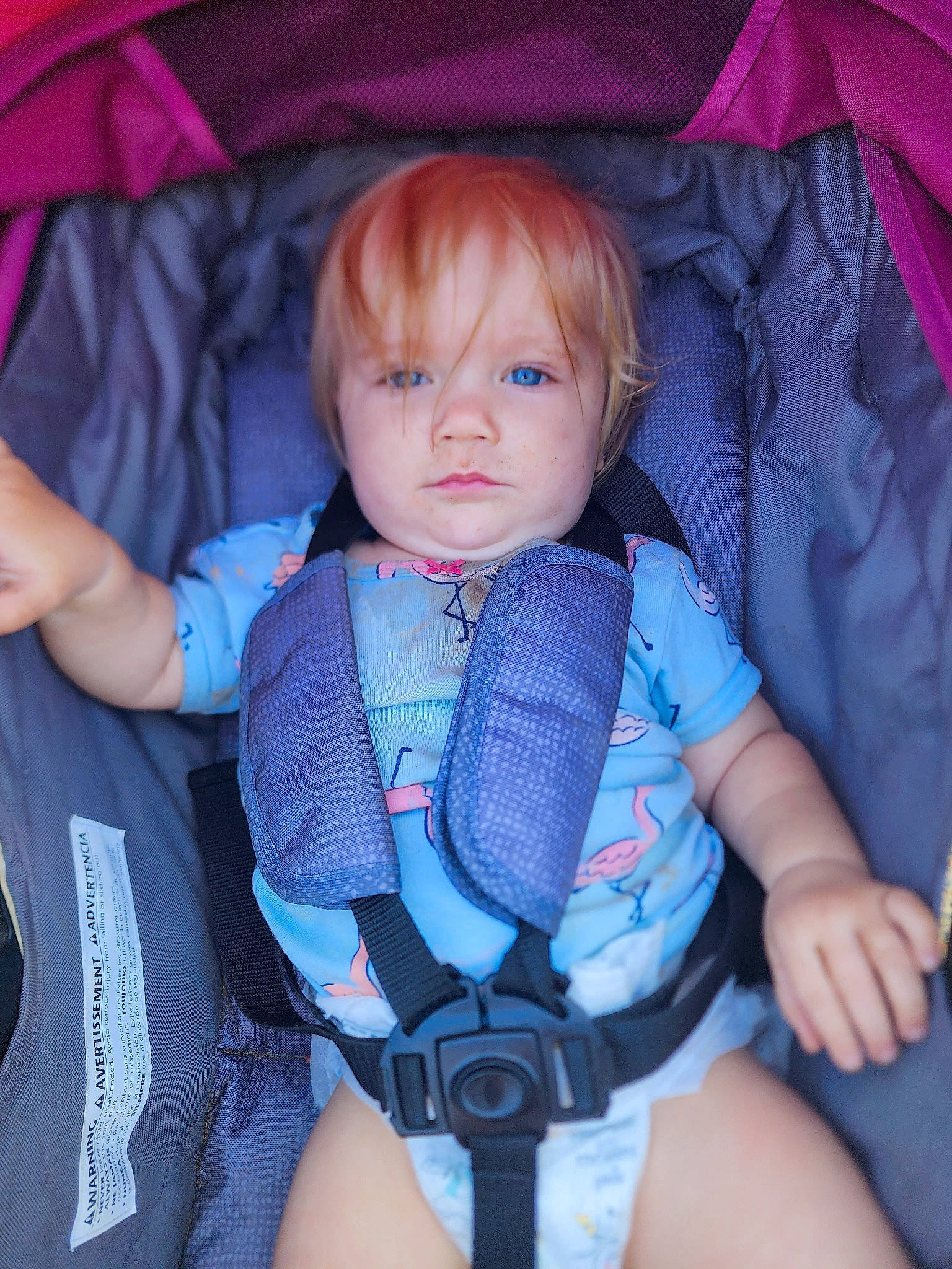 Fern joined the competition — help win amazing prizes! arm, azure, baby_carriage, cheek, comfort, eye, facial_expression, hairstyle, hand, human, human_body, iris, joint, mammal, mouth, organ, person, product, skin, sleeve