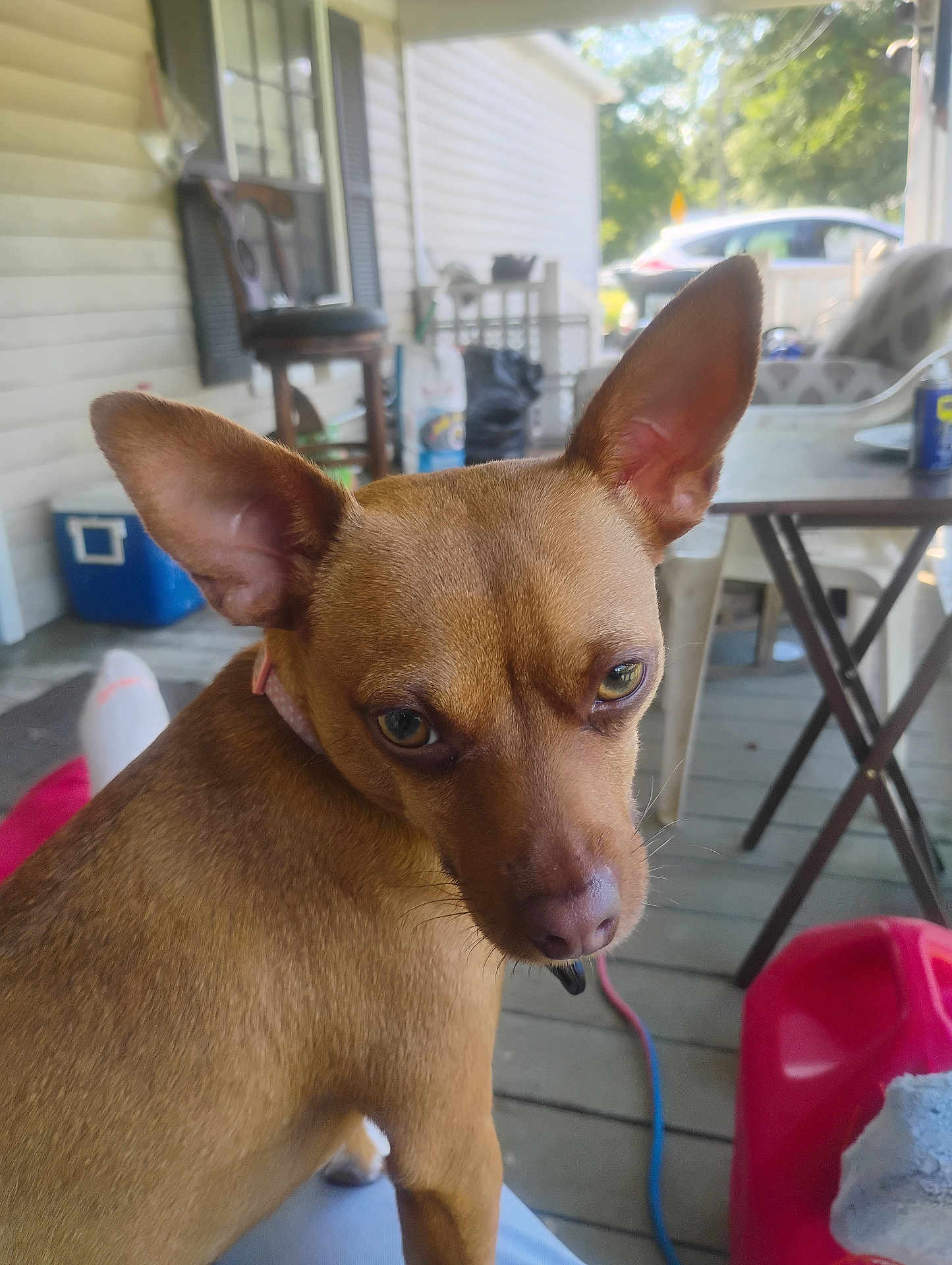 Penny