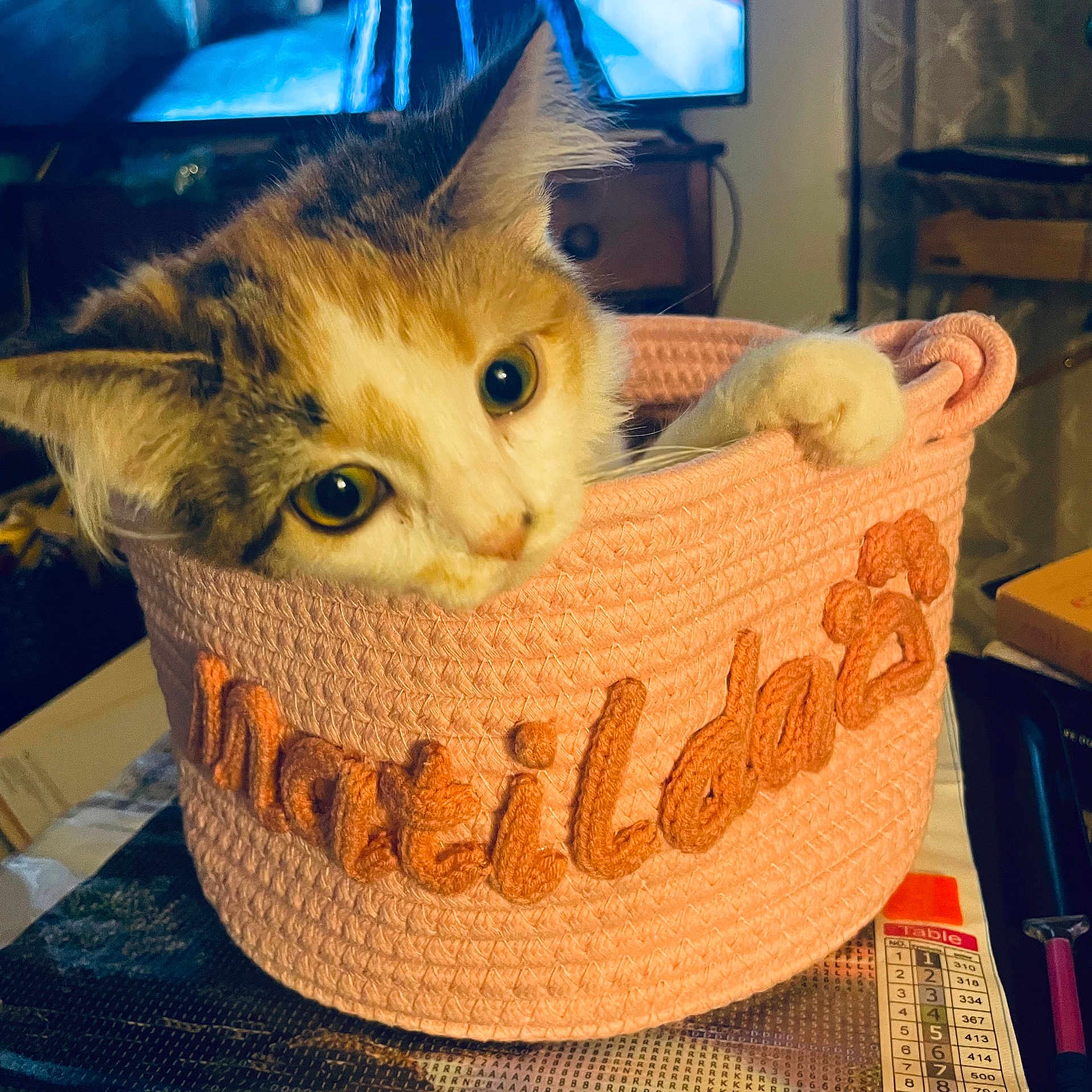 Matilda