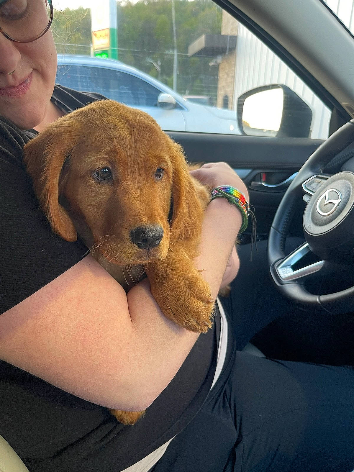 Willow joined the competition — help win amazing prizes! automotive_exterior, automotive_mirror, car, car_seat, car_seat_cover, carnivore, comfort, companion_dog, dog, dog_breed, eyewear, family_car, fawn, liver, motor_vehicle, personal_luxury_car, snout, steering_wheel, vehicle, vehicle_door