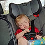 baby, bottle, car_interior, car_seat, child, child_safety_seat, daylight, infant, inside_car, peaceful, red_shirt, relaxed, safety, seat, seatbelt, sleeping, toddler, white_socks, window, young_child