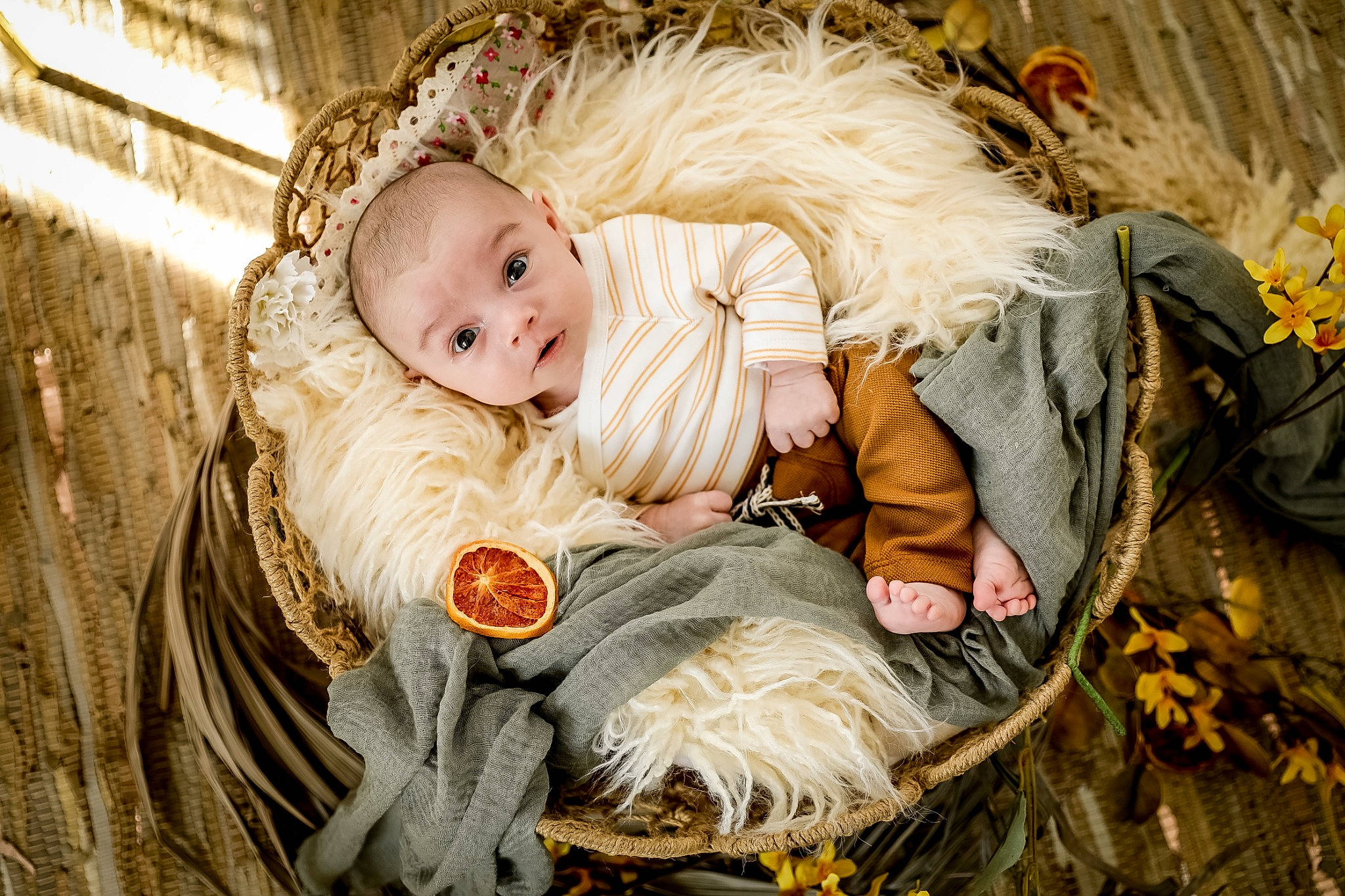 Logan participe au concours pour gagner de l'argent avec cette photo : baby, baby_toddler_clothing, child, comfort, eye, flash_photography, fun, fur, grass, happy, human_body, people_in_nature, person, plant, portrait_photography, sitting, stock_photography, toddler, tree, winter