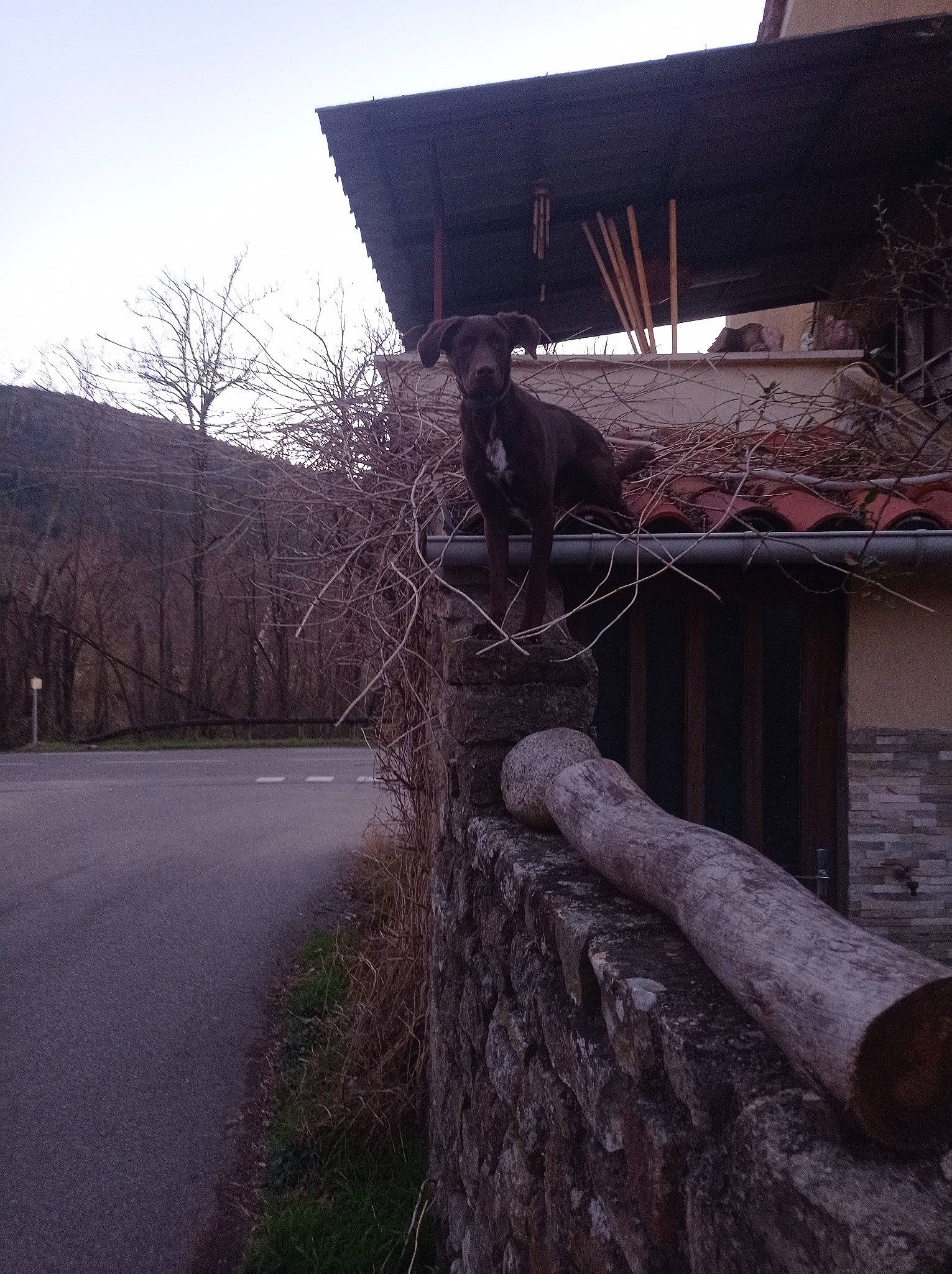 Kinaï participe au concours pour gagner de l'argent avec cette photo : branch, building, grass, house, landscape, plant, plant_stem, rock, roof, shade, shadow, sky, tints_and_shades, tree, trunk, twig, wall, winter, wood, woody_plant