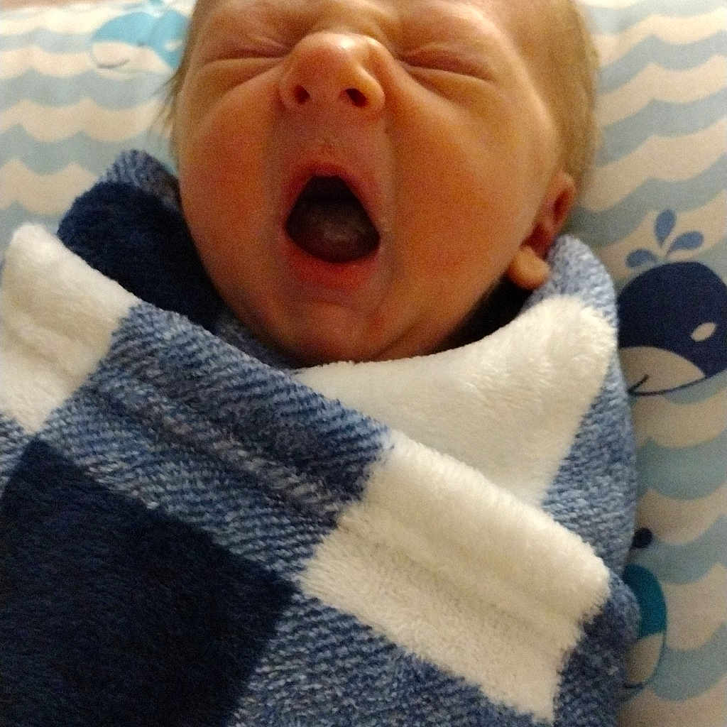 Austyn