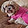 Annabelle