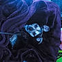 Tiny is registered to the contest to win money with this photo: dog, blanket, purple, cozy, pet, sleepy, resting, plastic_container, indoor, fur, small_dog, ears, face, animal, cute, relaxing, snuggled, leash, dim_light, blue_tint