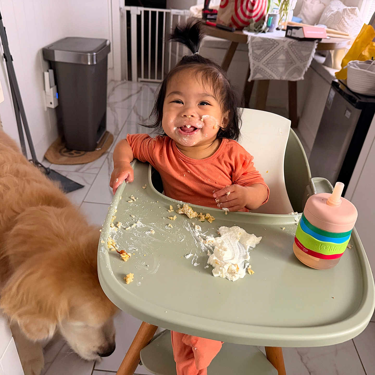 Emilia Harper is registered to the contest to win money with this photo: toddler, child, high_chair, messy, food, whipped_cream, smile, happy, golden_retriever, dog, kitchen, floor, drink_container, orange_clothing, table, chair, home, pet, indoor, baby