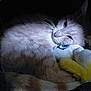 cat, plush_toy, cozy, feline, relaxed, whiskers, soft_fur, indoor, resting, sleepy, cute, pet, animal, cuddly, toy, yellow, white, closeup, shadow, comfort
