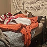cat, feline, pet, sitting, bed, bedroom, blanket, bedding, rumpled_bedding, orange_blanket, gray_blanket, indoor, home, bedroom_decor, wall_tapestry, landscape, mountains, wood_floor, shoes, cozy