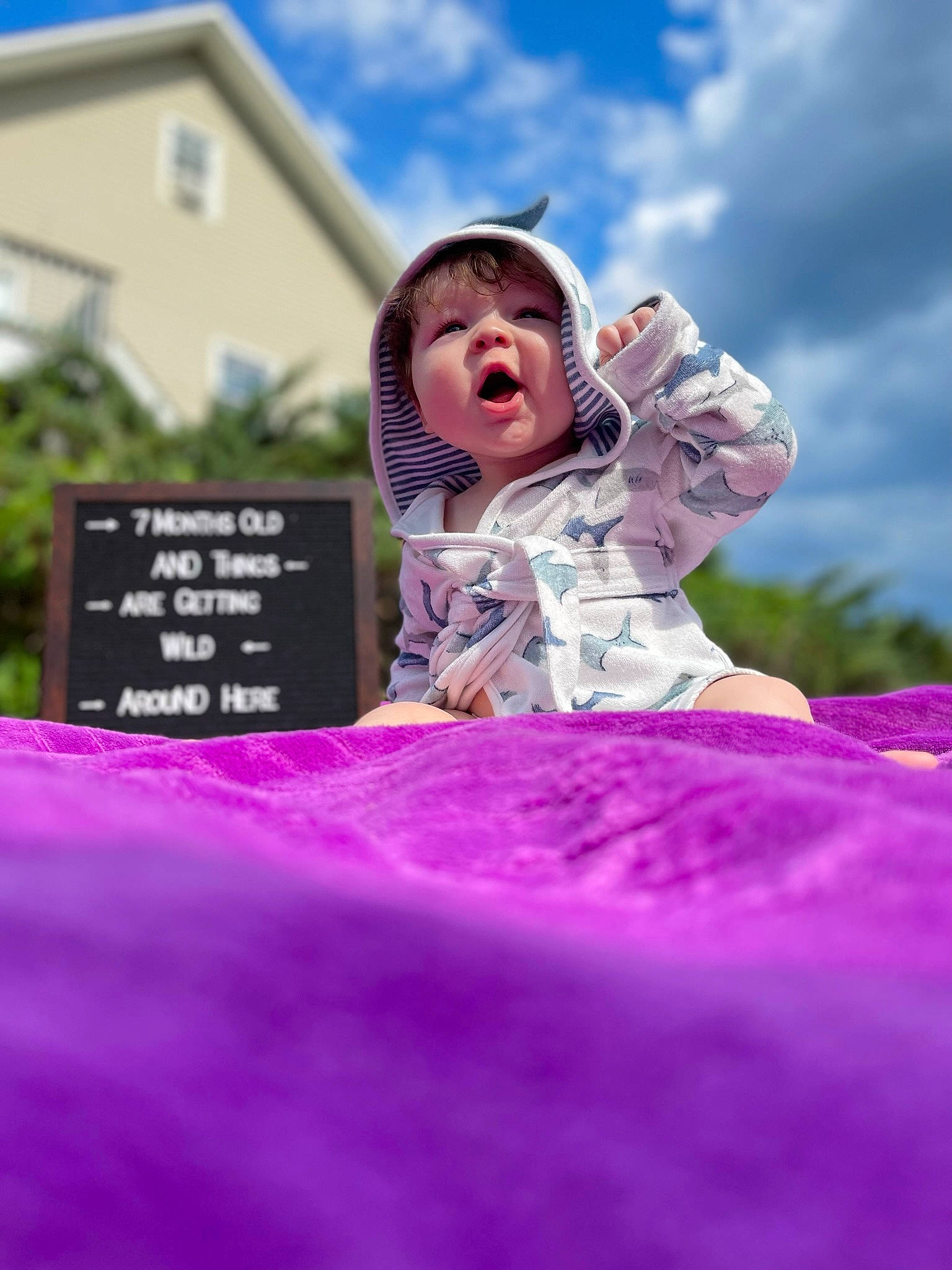 Logan joined the competition — help win amazing prizes! baby, child, cloud, event, fun, grass, grassland, happy, leisure, magenta, people_in_nature, person, pink, portrait_photography, purple, recreation, sitting, sky, toddler, tree