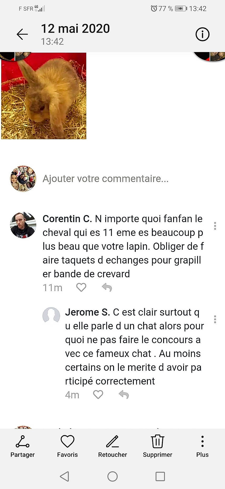 Biscotte participe au concours pour gagner de l'argent avec cette photo : canidae, font, sporting_group, text