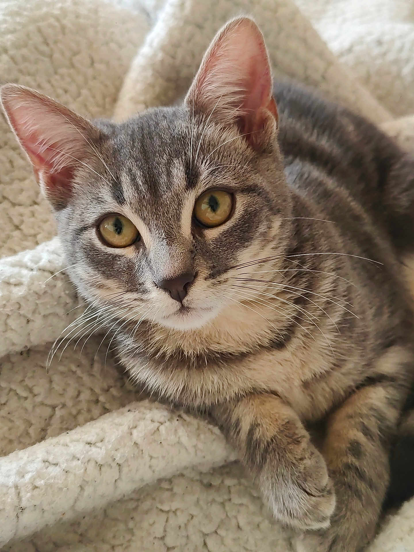 Yuki