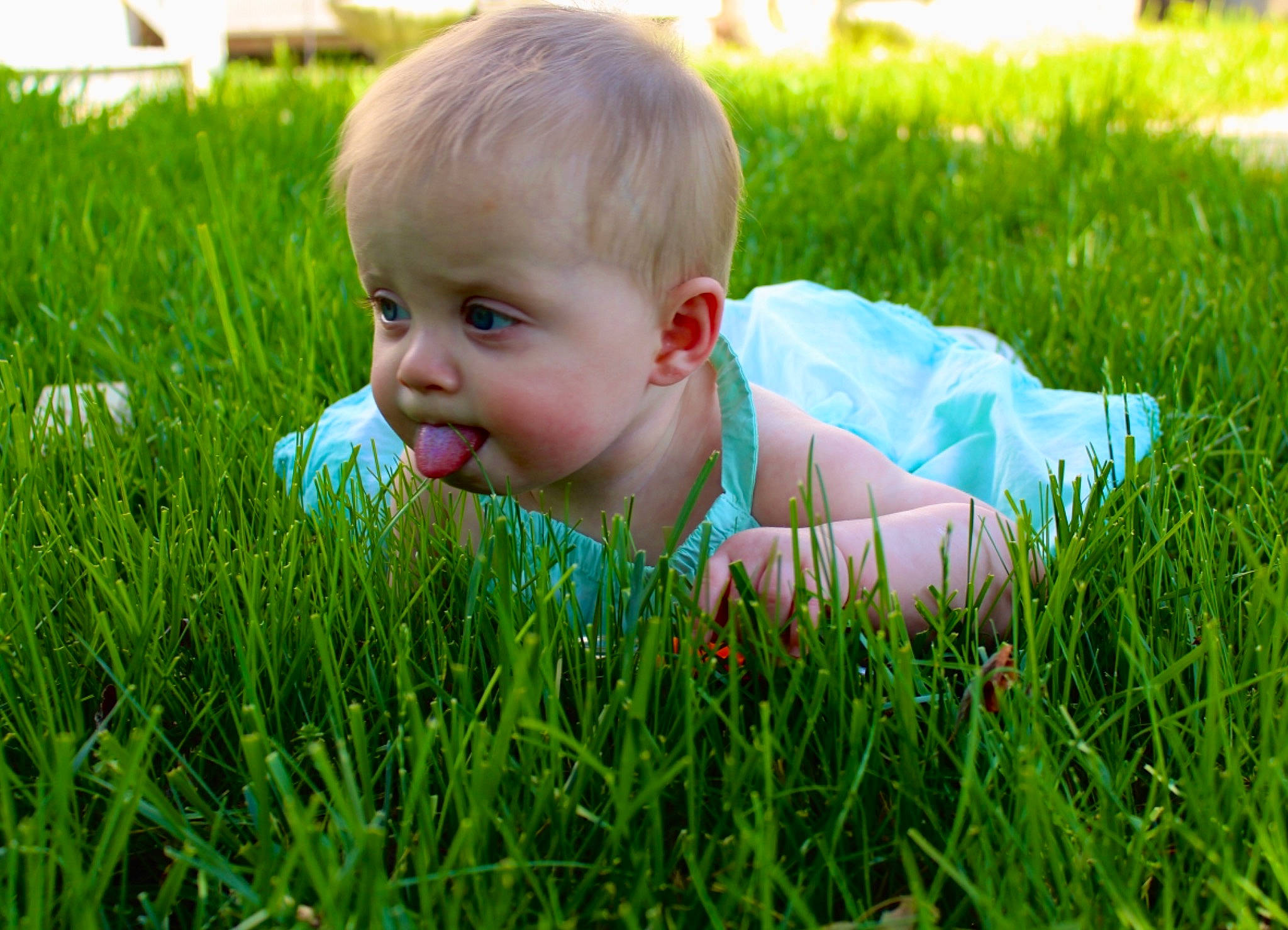 Elizabeth is registered to the contest to win money with this photo: baby, baby_toddler_clothing, flooring, fun, grass, grass_family, grassland, groundcover, happy, lawn, leisure, meadow, people_in_nature, person, plant, prairie, skin, smile, sunlight, terrestrial_plant