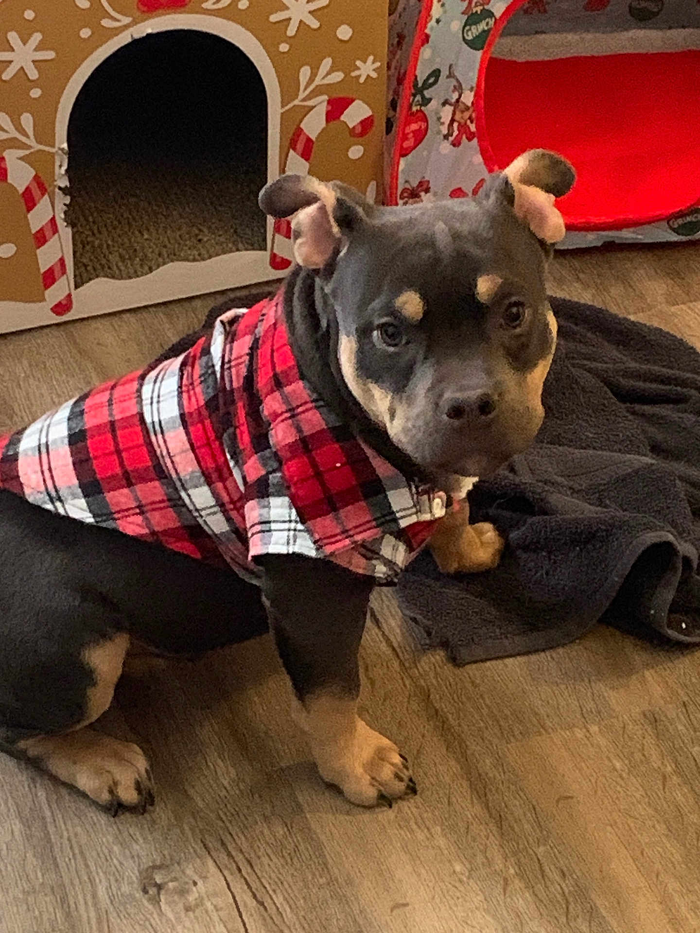 Jax