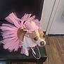 Lola joined the competition — help win amazing prizes! dog, small_dog, tutu, pink, crown, costume, pet, chair, indoor, floor, wood_floor, beige, white, brown, cute, animal, accessory, necklace, sitting, looking_up