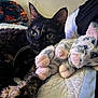 cat, tortoiseshell_cat, plush_toy, stuffed_animal, bed, quilt, indoor, animal, pet, feline, snuggling, cozy, cute, whiskers, paws, soft_toy, relaxing, companion, resting, closeup