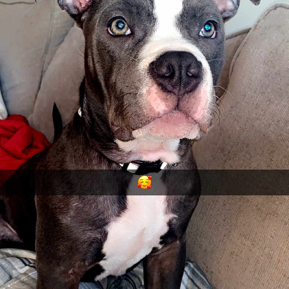 Kiya