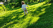 Persephone joined the competition — help win amazing prizes! toddler, child, grass, outdoor, tree, sunlight, playground, nature, backyard, walking, greenery, shadow, daylight, person, young_child, casual_clothing, summer, play, scenery, exploration