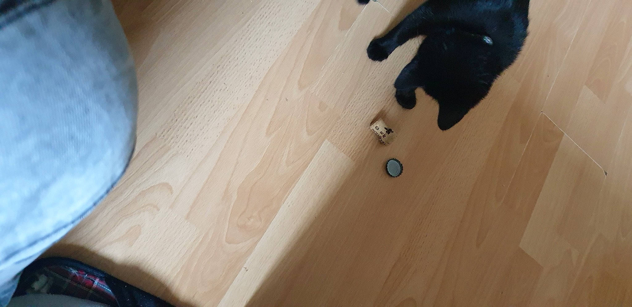 Malicia a rejoint le concours — aidez-le/la à gagner de superbes lots ! floor, flooring, hardwood, laminate_flooring, plywood, room, shoe, table, wood, wood_stain