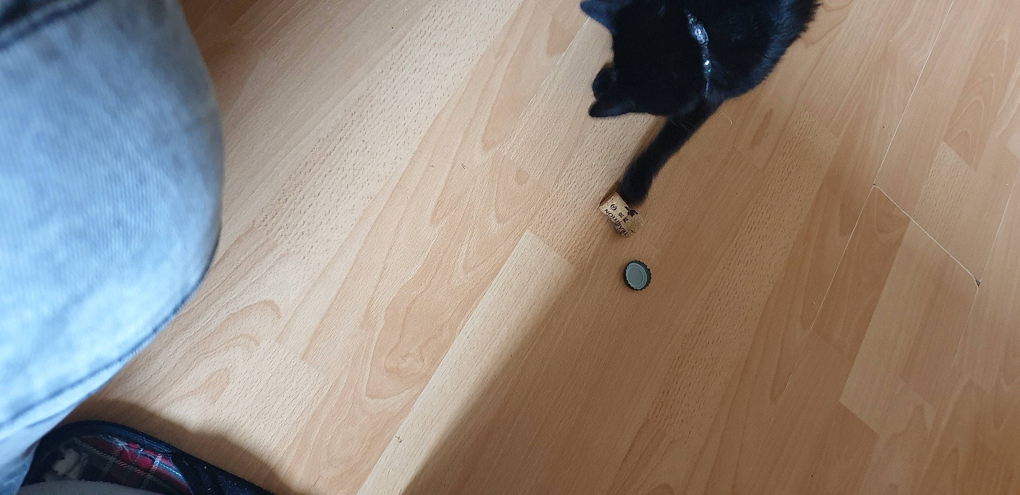 Malicia a rejoint le concours — aidez-le/la à gagner de superbes lots ! black_cat, cat, fawn, felidae, floor, flooring, fur, hardwood, plywood, room, small_to_medium_sized_cats, tail, wood