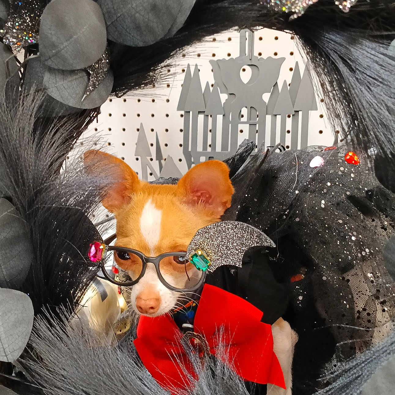 Da-Girl joined the competition — help win amazing prizes! animal, bat_wings, black_wreath, costume, cute, decorations, dog, ears, face, festive, glasses, glitter, halloween, indoor, nose, pet, portrait, red_bow_tie, silver_leaves, small_dog