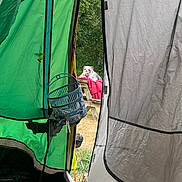 Albi is registered to the contest to win money with this photo: animal, blanket, bulldog, camping, daytime, dog, fabric, grass, gray, green, leisure, nature, outdoor, pet, picnic_table, relaxed, resting, scenery, tent, trees