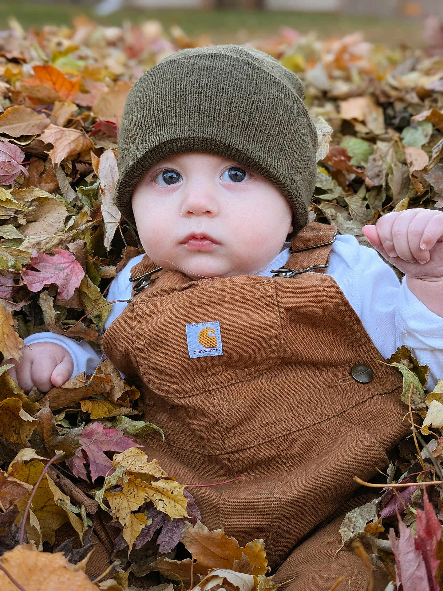 Charlie joined the competition — help win amazing prizes! baby, child, autumn, leaves, beanie, overalls, outdoor, fall, cute, portrait, seasonal, nature, person, young_child, warm_clothing, face, expression, sitting, leaf_pile, daylight