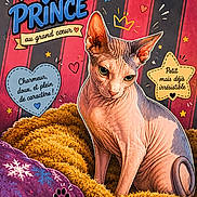 Victor participe au concours pour gagner de l'argent avec cette photo : animal_art, blanket, cartoon_style, cat, colorful, cute, drawing, french_text, hairless_cat, heart, illustration, pet, pillow, purple, red_background, sphynx_cat, star, striped_background, text_overlay, yellow